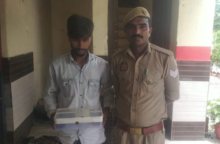 अवैध हथियार व जिंदा कारतूस बरामद, आरोपी गिरफ्तार